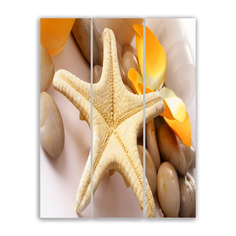 

sea ​​star wall art unframed mdf size 45x60 cm